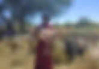 فيديو توثيقي للأضحية