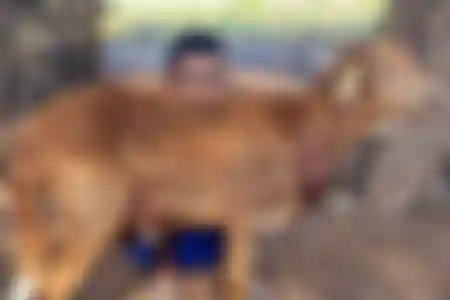 فيديو توثيقي للأضحية